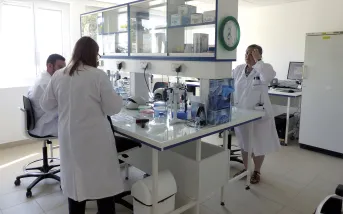 Le GenoPaV, acronyme de « Génomique & Pathologie Végétale », réunit à présent les services « Adaptation des cultures aux agroclimats, génétique et phénotypage » (SAGeP) et « Protection intégrée des cultures » (SPIC) d’Arvalis sur un même site. Ingénieurs et techniciens peuvent y travailler en synergie, au grand bénéfice de la connaissance des plantes et de leurs maladies.
