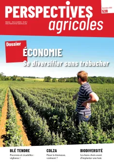 Se diversifier sans trébucher