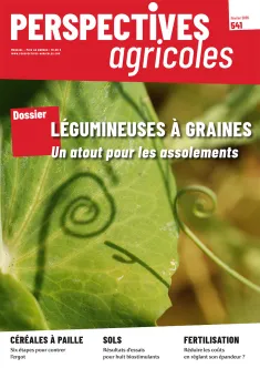 Légumineuses à graines : un atout pour les assolements