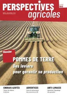 Pomme de terre : des leviers pour garantir sa production