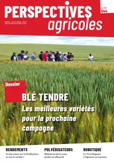 Blé tendre : les meilleures variétés pour la prochaine campagne