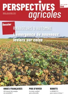 Ravageurs d’automne : l’émergence de nouveaux leviers sur colza