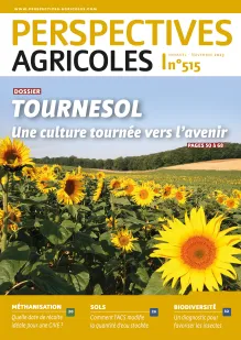 Tournesol : une culture tournée vers l’avenir