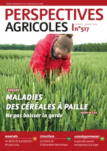 Maladies des céréales à paille : ne pas baisser la garde