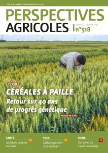 Céréales à paille : retour sur 40 ans de progrès génétique