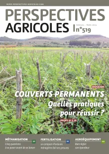 Couverts permanents : quelles pratiques pour réussir ? ​