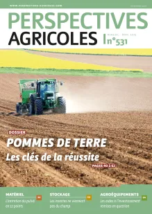 Pommes de terre : les clés de la réussite