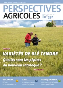 Variétés de blé tendre : une typologie « qualité » en pleine mutation