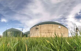 L’Europe encourageant la recherche d’alternatives aux énergies fossiles, les surfaces des cultures intermédiaires à vocation énergétique (CIVE) vont augmenter.
