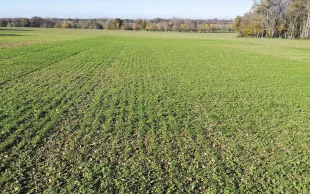 Les tendances climatiques de ces vingt dernières années montrent qu’en un lieu donné, la date moyenne de semis d’une prairie devrait progressivement reculer.