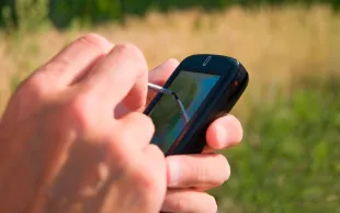 L’OAD gratuit « Choix des variétés de blé tendre » pour l’AB