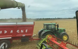  la moisson 2023 s’avère satisfaisante en quantité et en qualité, au-dessus de la moyenne des cinq dernières années. 