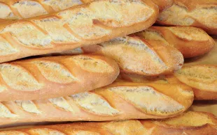 89 % des blés affichent un taux de protéines supérieur à 11 % 