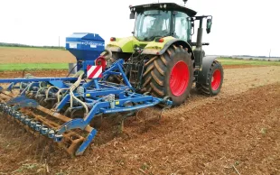 Les faux-semis à l'automne constituent un levier de désherbage les plus efficaces