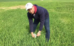 Marc Lambert, Yara France
