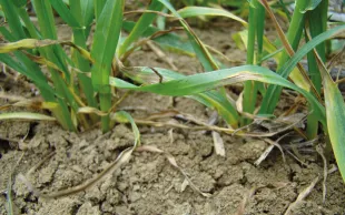 La gamme des matières actives disponibles en 2024 sera identique à celle de 2023,