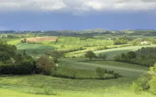 Pour la première fois, des scientifiques ont étudié les effets de différents types d’habitats semi-naturels (prairies temporaires, prairies permanentes, haies) et de la diversité des cultures sur la régulation naturelle des insectes ravageurs et des plantes adventices.