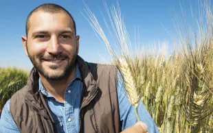 Filippo Bassi est sélectionneur de blé dur pour l’Icarda