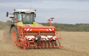 En 2024, les semis d'orge de printemps ne devraient pas voir beaucoup de poussière