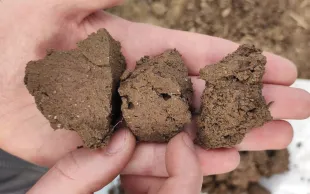 Il est essentiel d’observer son sol pour déterminer s’il est tassé. De gauche à droite : tassement sévère, tassement modéré avec présence de porosité biologique, sol poreux.