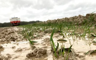 L’humidité des sols est désormais très supérieure à la normale 