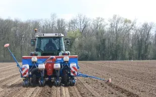 L'herbicide le plus restrictif déterminera le niveau de risque global du mélange (ou du programme), même si certaines nuances existent.