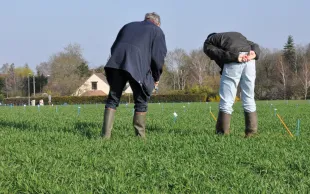 La lutte contre le changement climatique passe par l’implication massive des agriculteurs mais aussi par la combinaison d’actions portées par l’ensemble des acteurs économiques.