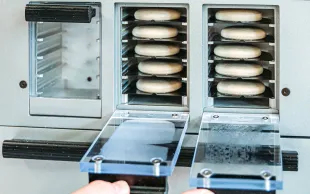 Dans cette promotion 2024, les nouvelles variétés ont souvent une force boulangère élevée, critère attendu par de nombreux clients à l’export.