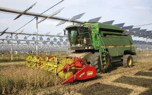 Les systèmes agrovoltaïques apparaissent comme une opportunité pour  préserver les cultures, en particulier dans les secteurs où la réserve utile  du sol est très limitante