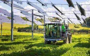 les projets agrivoltaïques seront soumis à examen préalable de la CDPENAF afin de garantir l’activité agricole. Photo TSE.