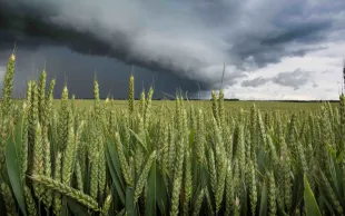 La météo instable pourrait perdurer quelques semaines