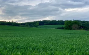 Avec Ecophyto 2030, la France poursuit son objectif d’une réduction de 50% de l’utilisation et des risques globaux des produits phytosanitaires
