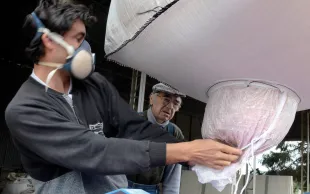 Certaines tâches à réaliser sur l’exploitation agricole comportent des risques pour la santé du salarié. Offrir toutes les conditions nécessaires à leur sécurité est indispensable pour fidéliser. 