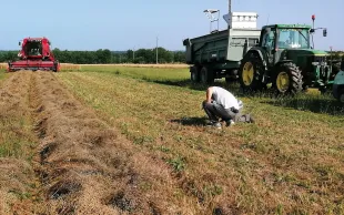 Si un chef d’exploitation est également salarié d’une CUMA, il sera automatiquement rattaché au régime de son activité principale, à savoir la plus ancienne. Mais il peut changer en faisant valoir son droit d’option.  
