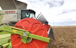 Le défaut de rayonnement pendant la floraison ou en fin de cycle a  affecté le développement des céréales à paille, mais aussi des  oléo-protéagineux.