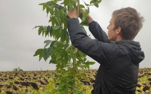 Quentin Guégand : « Le réchauffement climatique que l’on subit peut aussi être l’opportunité d’explorer de nouvelles cultures. »