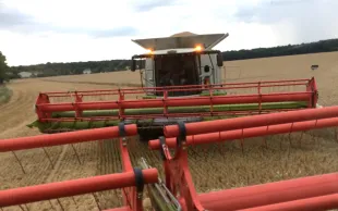 Les producteurs de céréales font face à un « effondrement économique majeur » 