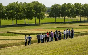 La « feuille de route carbone » fixe des objectifs chiffrés pour chaque maillons de la filière des grandes cultures, tel que prévu par la loi Énergie-Climat de 2019.   