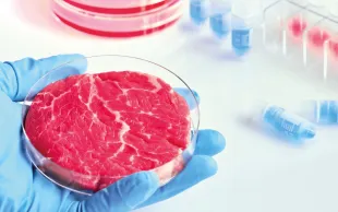 Le rapport de l’EGE affirme que des campagnes visant en réalité la production alimentaire française promeuvent des alternatives à la viande contrôlées par des entreprises américaines ayant massivement investi dans la foodtech et la viande cellulaire.