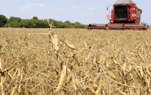 The Shift project : un scénario détaillé pour décarboner l'agriculture française
