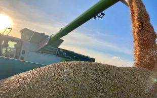 Des exploitations agricoles jusqu’aux entreprises de transformation, en passant par les 203 coopératives, les 300 négoces et les structures d’exportation, la filière céréalière recouvre 538 000 emplois.