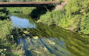 L’Agence de l’eau Seine-Normandie agit en tant que partenaire financier mais aussi technique : elle aide les agriculteurs à construire des solutions adaptées à leur territoire.