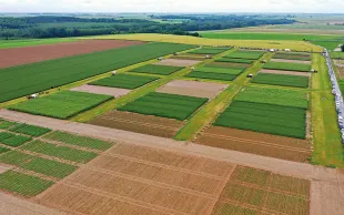 La plateforme Syppre Picardie s’étend sur 10 ha divisés en 45 parcelles, à côté du Domaine d’Estrées-Mons (80).