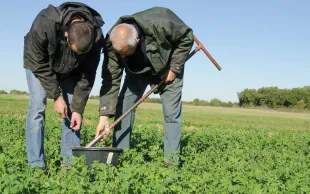 Les données de l’observatoire PhosphoBio sont issues d’analyses de terre et des résultats d’enquêtes sur les pratiques agricoles menées auprès d’agriculteurs. 