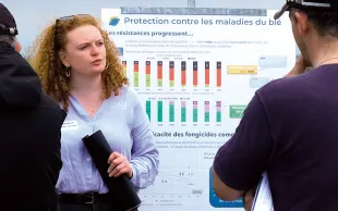 Charlotte Boutroy, Arvalis : « Le T2 est le traitement fongicide à ne pas rater. »