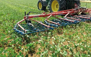 Encourager une transition plus large passe par une rémunération au moins équivalente des systèmes agroécologiques et conventionnels.