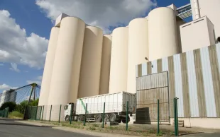 Les prix des grains font du surplace ou s’effritent.