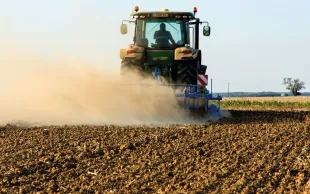 Déchaumer par temps sec expose les racines des adventices au soleil - mais aussi les œufs et adultes de limaces.