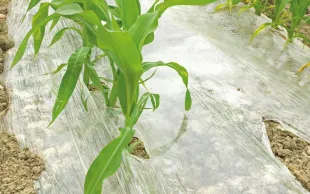 Les plastiques agricoles et alimentaires sont en contact direct avec les sols et les aliments, d'où une surveillance accrue.