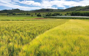 Le modèle AMG évolue notamment pour tenir compte des évolutions de pratiques en lien avec l’agriculture biologique et de conservation des sols. 